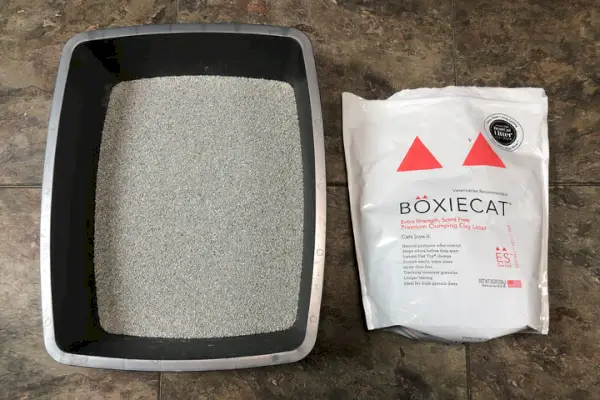 Boxiecat Extra Strength Neodišavljeni pesek