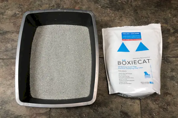 Boxiecat プレミアム無香料トイレ砂