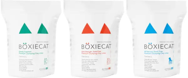 Boxiecat 쓰레기 검토