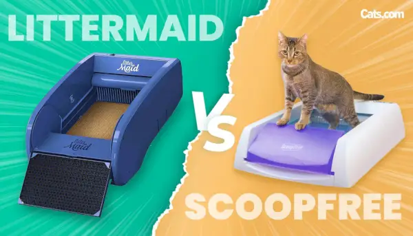 LitterMaid vs ScoopFree fremhævet billede