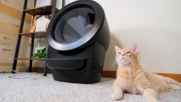 Hoe werkt de Litter-Robot?