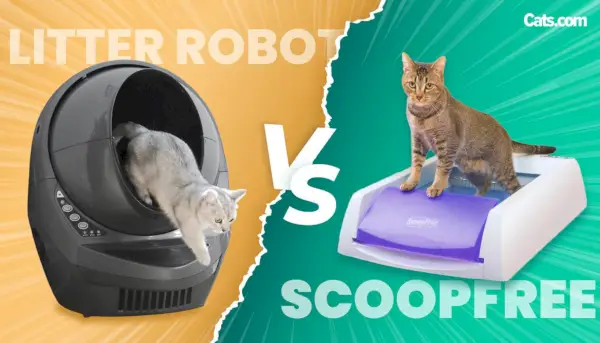 Litter-Robot vs ScoopFree utvald bild