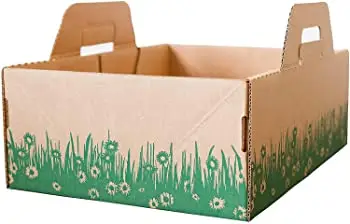 Kit de caja de arena biodegradable para gatos Litter One