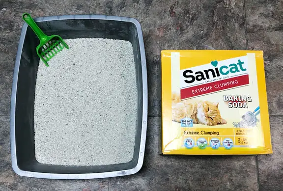 Kelias savaites išbandėme Sanicat Extreme Unscented Litter kačių namuose.