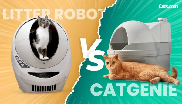 Imaginea prezentată Litter-Robot vs CatGenie