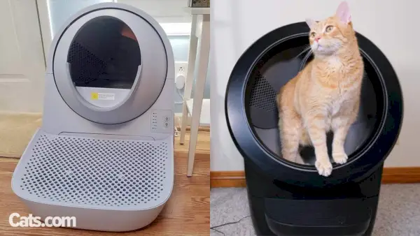 CATLINK contre Litter-Robot 4 : quel est le meilleur ?