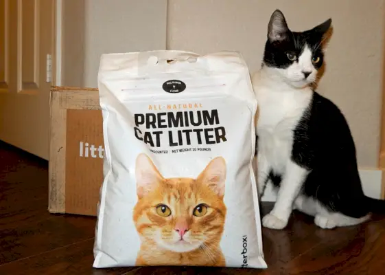 Revisión de arena para gatos premium Litter Robot