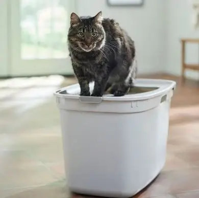 IRIS USA Large Round Top Entry Cat Litter Box & Scoop