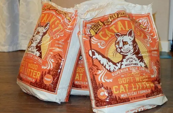 Catalyst Cat Litter Review