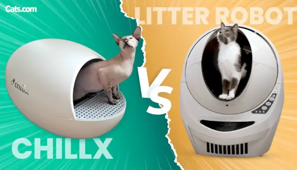 Litter Robot proti ChillX AutoEgg – kupljeno in preizkušeno