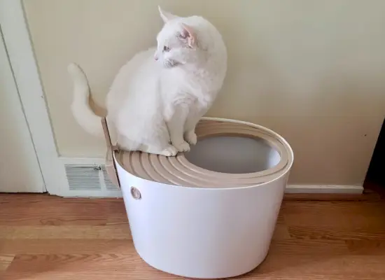 IRIS USA Round Top-Entry Cat Litter Box Review