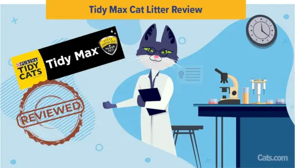 Recenze Tidy Max Cat steliva