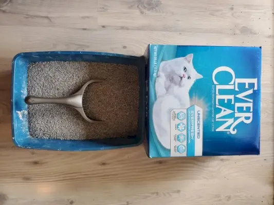 Ever Clean Everfresh z aktivnim ogljem brez vonja Premium Clumping Clay Litter