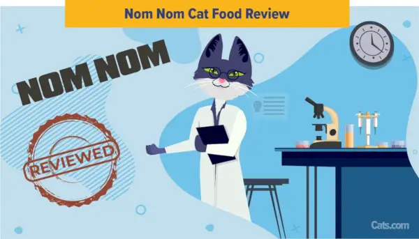 Nom Nom Cat Food Review