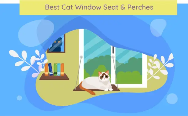 Los 10 mejores asientos y perchas para ventanas para gatos