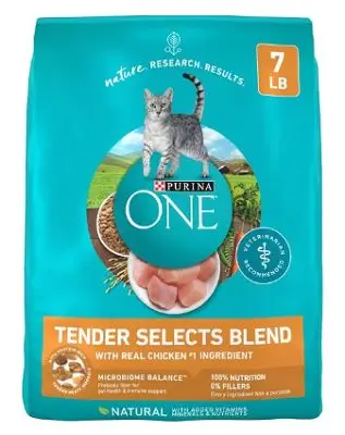 Recensione del cibo per gatti Purina One