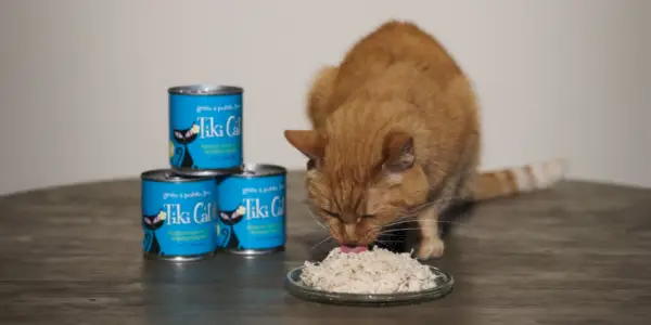 Tiki Cat Cat Food Review