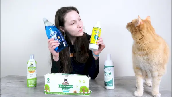 Die 8 besten Katzenshampoos und -spülungen