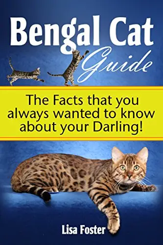 Bengal Kedisi Rehberi: Sevgiliniz hakkında her zaman bilmek istediğiniz Gerçekler! kitap kapağı