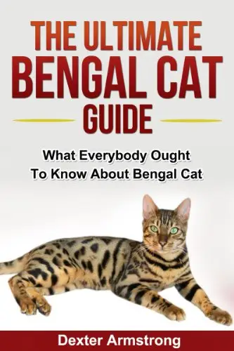 Obálka The Ultimate Guide to Bengal Cat: Čo by mal každý vedieť o bengálskych mačkách