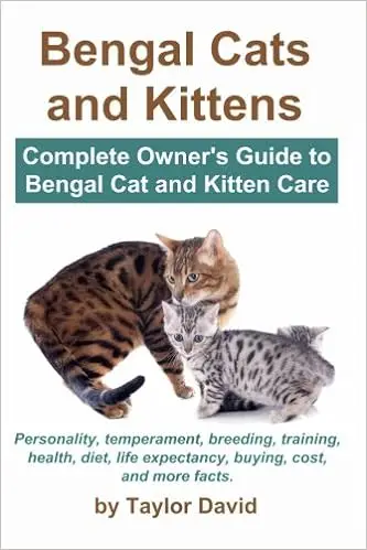 Meilleur guide du propriétaire des chats du Bengale