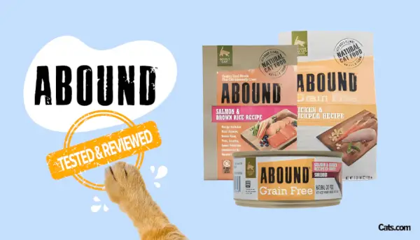 Abound Cat Food Review