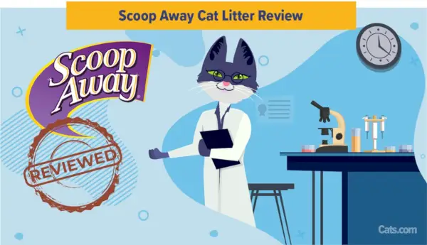 Imagem em destaque da maca de gato Scoop Away