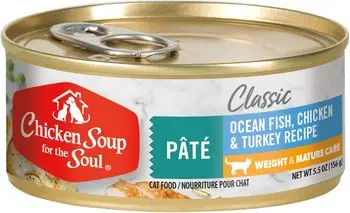 Purina ONE Indoor Advantage 7+ Chicken & Ocean Fish Pate Wet Cat Food