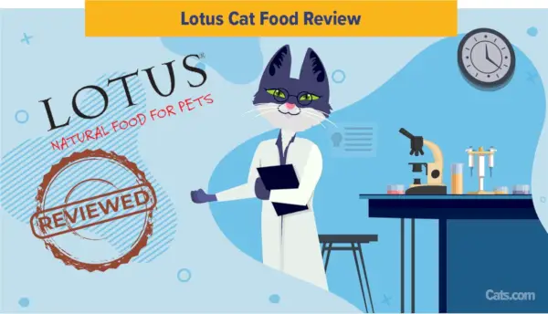 Recensione del cibo per gatti Lotus