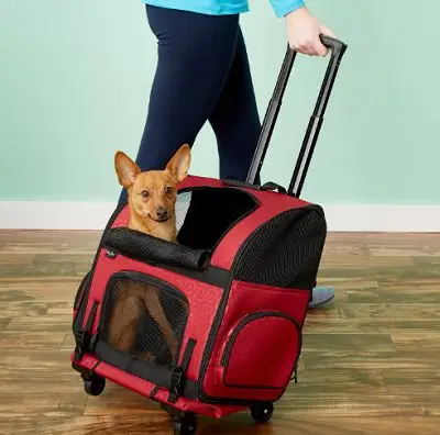 Petsfit Comfort Cat Carrier -reppu