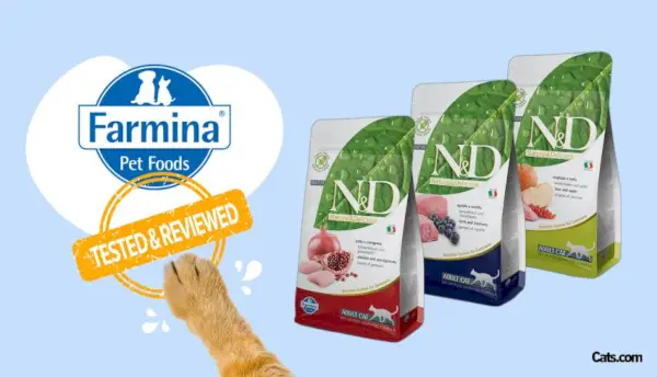 Farmina Cat Food Review