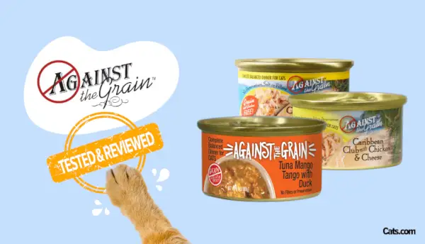 Imatge destacada d'Against the Grain Cat Food