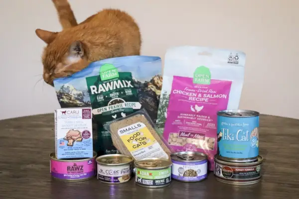 Los mejores alimentos para gatos