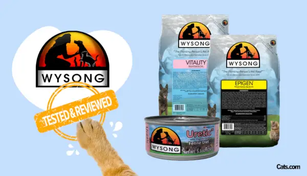 Wysong kattenvoer recensie