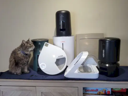 Imagen destacada de los mejores comederos automáticos para gatos