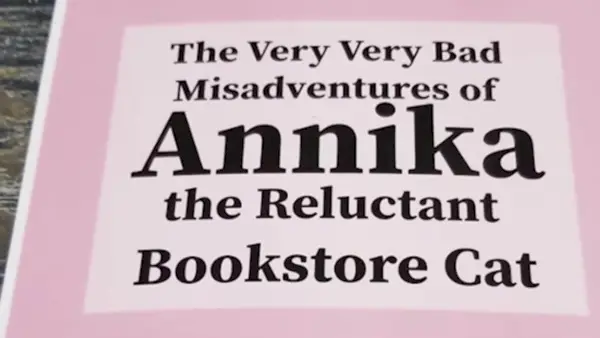 Rendiamo il libro di Annika un bestseller. Libri per armadietti