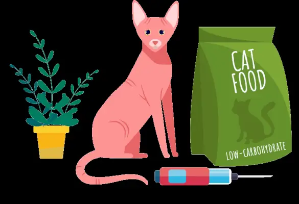 Nutrire i gatti con il diabete