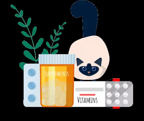 Illustrazione degli integratori alimentari e delle vitamine per gatti The Low-Down