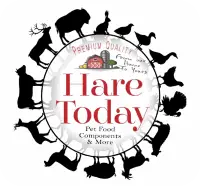 Logotip de Hare Today