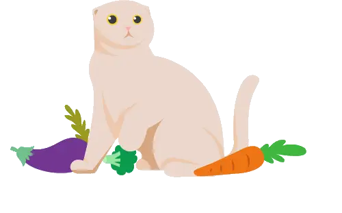 Perché non posso nutrire il mio gatto con una dieta vegetariana o vegana?