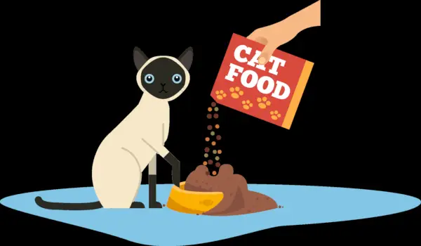 ilustração de alimentar um gato com comida de gato