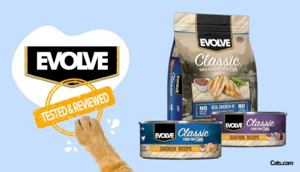 Revisão de comida de gato Evolve