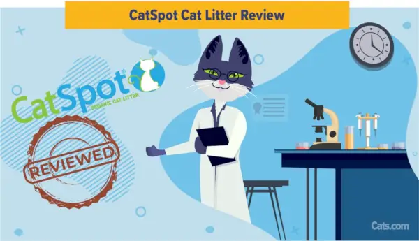 CatSpot Litter Review