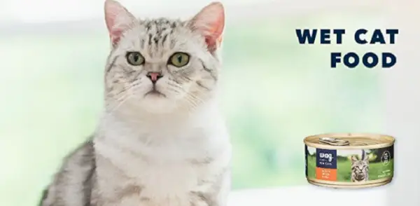 „Wag Cat Food“ apžvalga – nutraukta