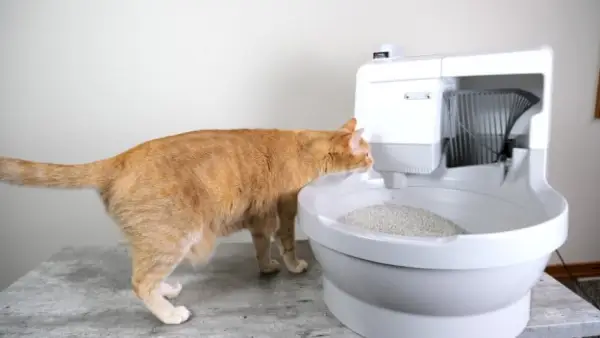 Изображение на Catgenie Self Washing Self Flushing Litter Box