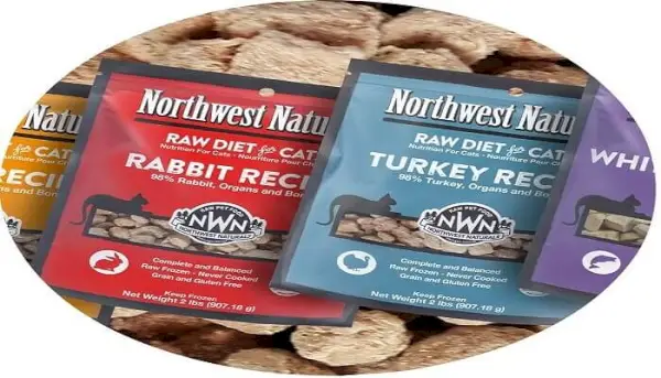 Northwest Naturals Cat Food Review