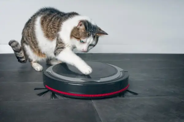 Meilleurs aspirateurs robots pour poils d’animaux