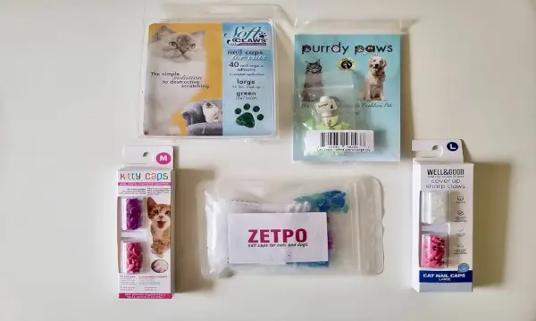 Los 5 mejores protectores de uñas para gatos: los probamos todos