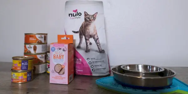 Kitten Food Feature