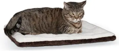 K&H EZ Mount Kitty parapet